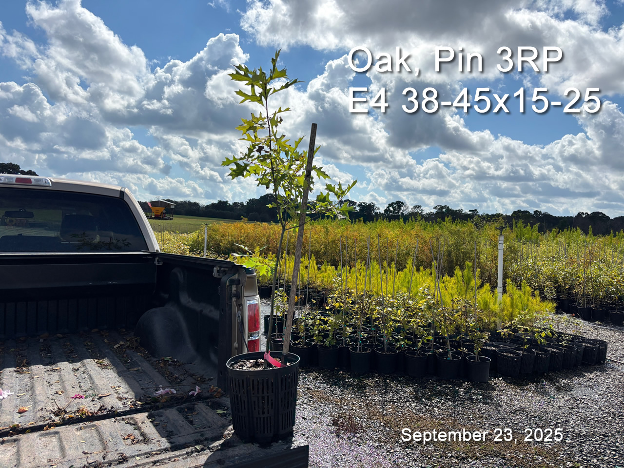 gallery/opn3rp e4 sept23.jpg